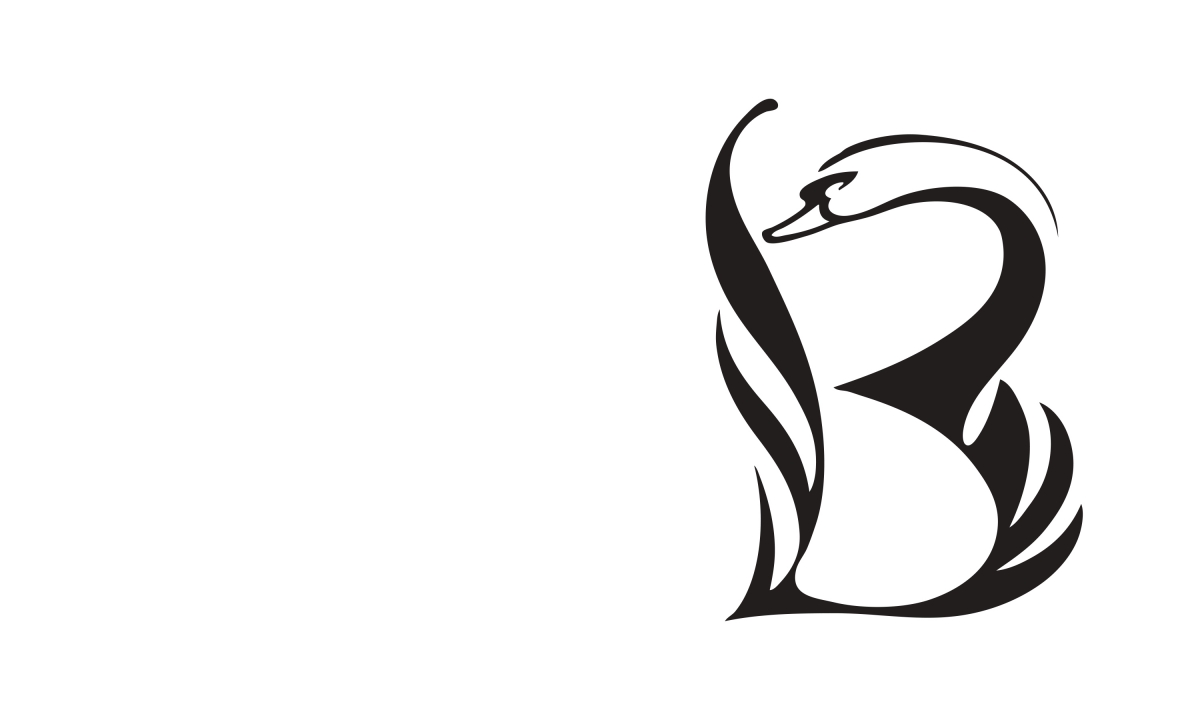 By Dana Robertson Creative Director and Founder of Neon. Bisham School feature image. Bisham CE Primary School near Marlow is next to a pond, with swans on it. And the school has always made use of that rather attractive imagery in their communications. But we thought it would be nice to make the swan a more important part of the school’s visual identity, by integrating it into an elegant new brand mark.And we’re pleased to say the school gave our swan-upping a great big tick. Idea, art direction and design by Neon Design & Branding Consultancy www.neon-creative.com