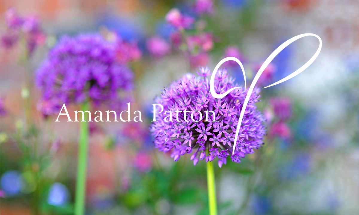 Amanda Patton brand identity