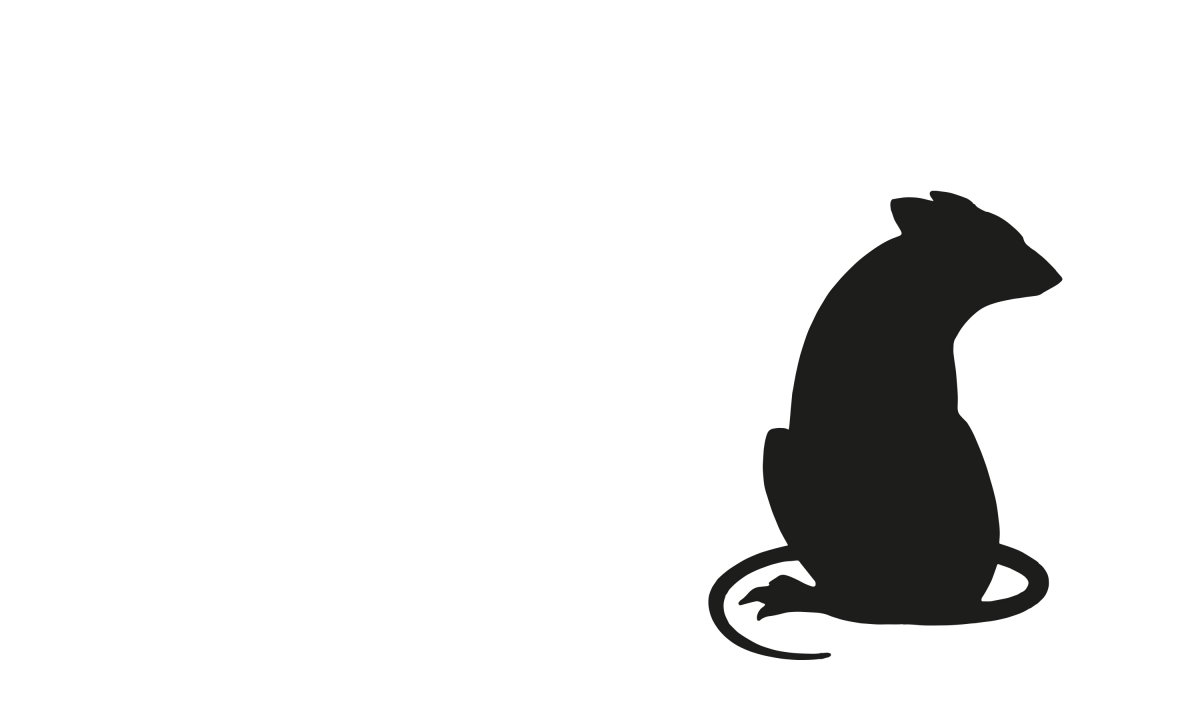 Branding and website design by Neon - designed by Dana Robertson - Plague Press logo design for Matt Stuart Street Photographers Publishing House