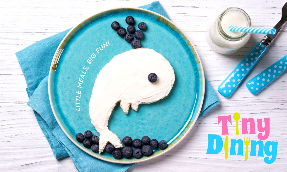 A cyan plate with a white sprem whale made of cream cheese and blueberries with a Tiny Dining logo on it