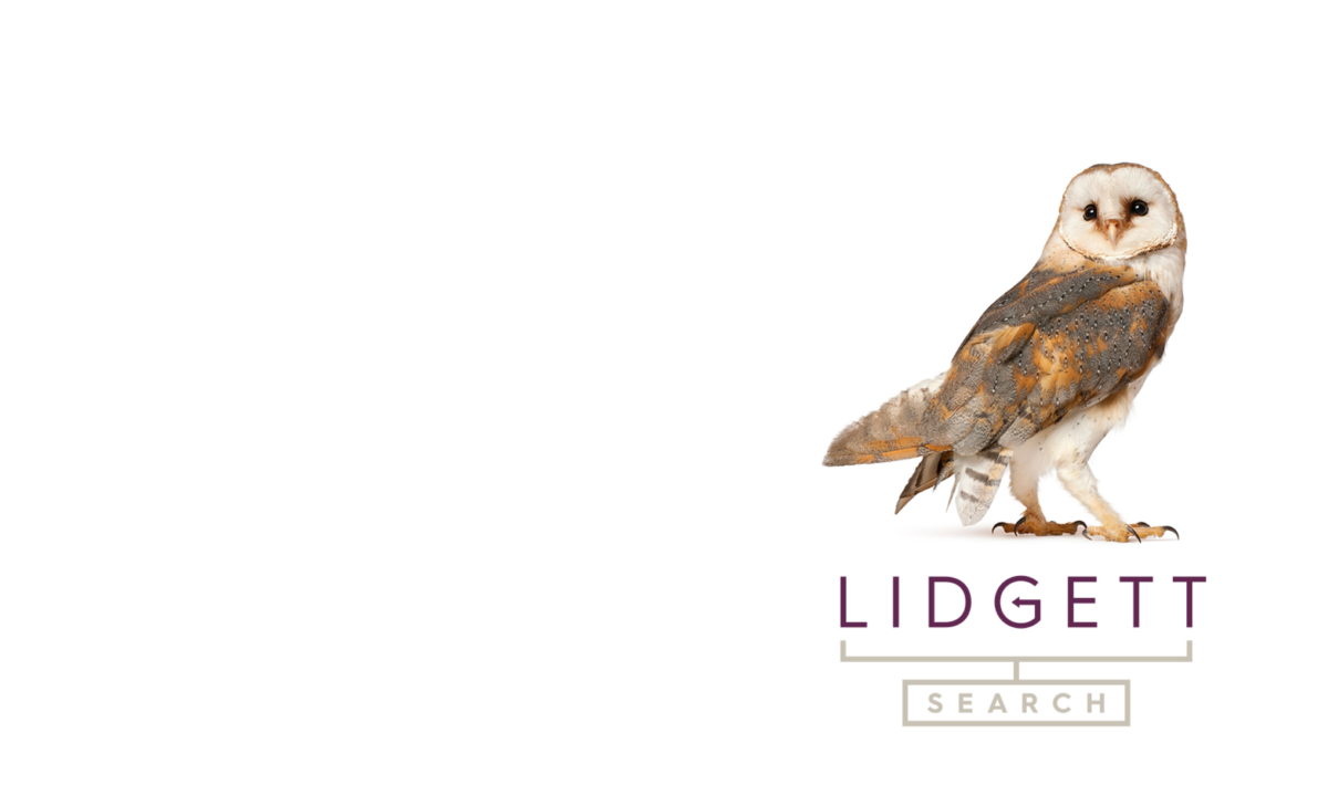 Lidgett Search branding & website by Neon feature image