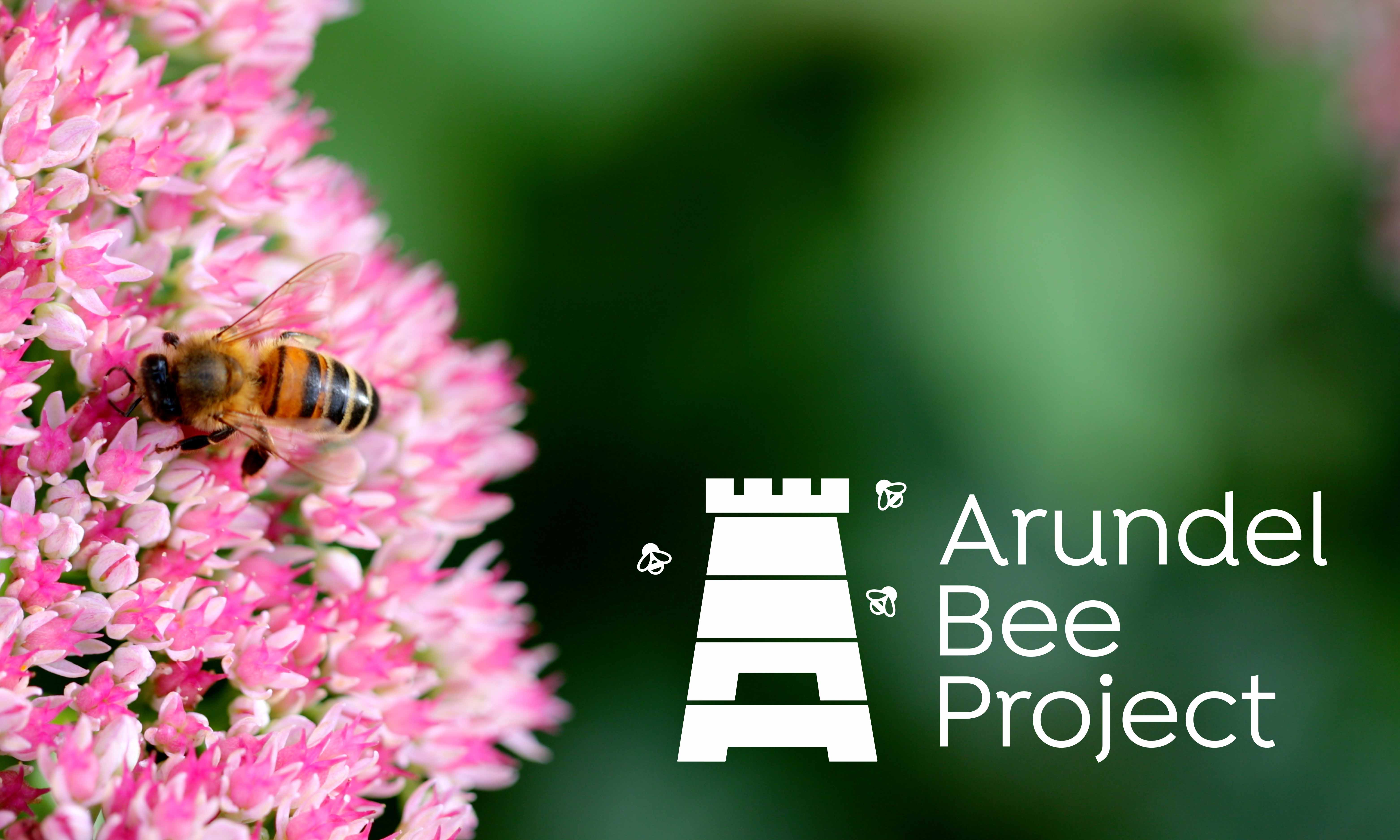 Arundel Bee Project logo designed by Neon