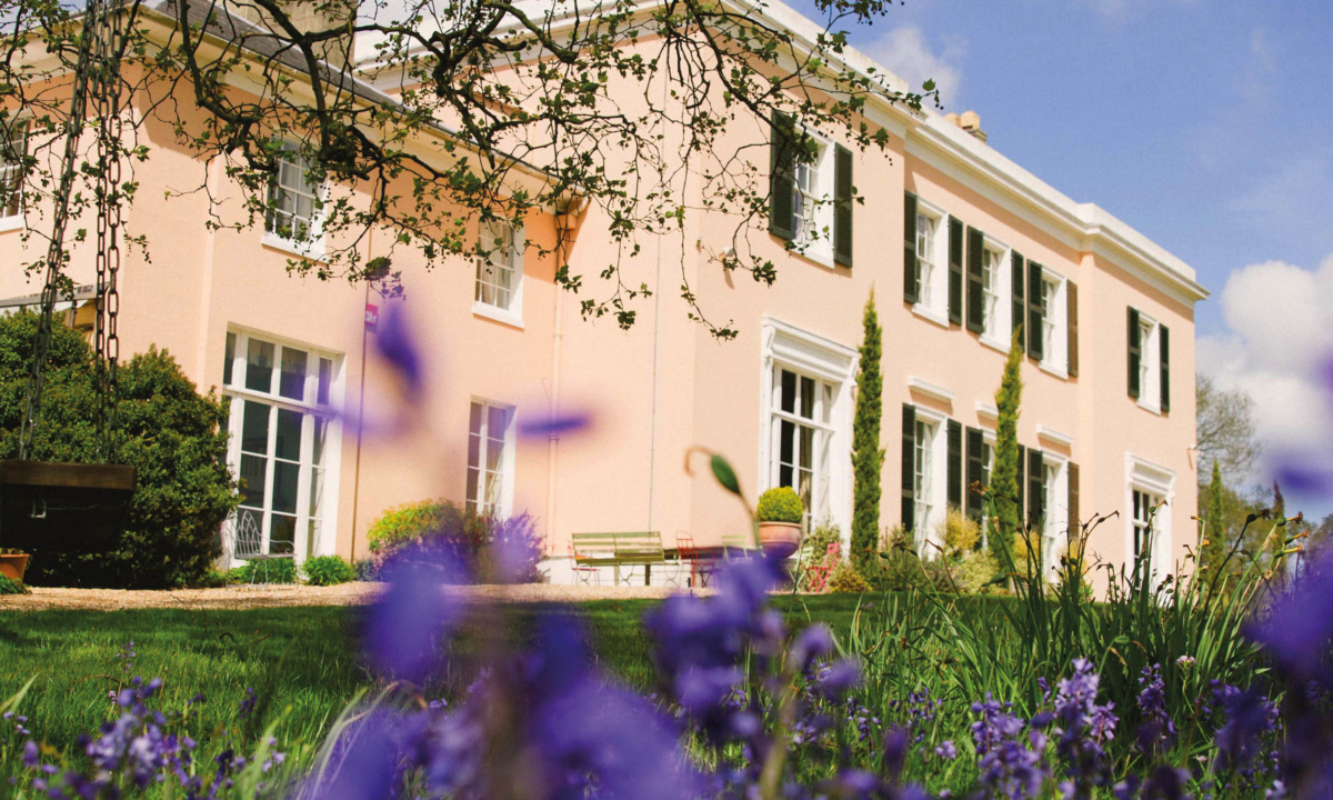 Bignor Park West Sussex website designed Neon branding consultancy2