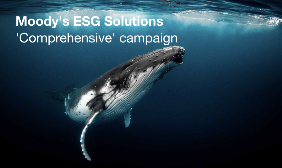 Moodys-ESG-branding by Neon